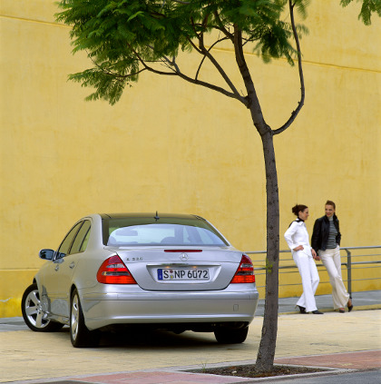 Mercedes_benz_w420_2.jpg